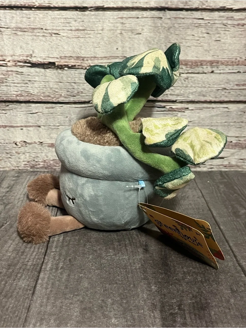 New! greenhouse by RUSS pothos planter “Chloe”